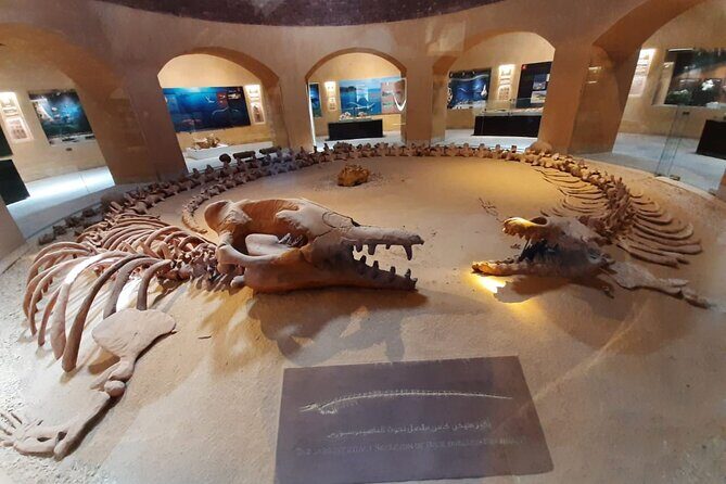 Safari pravite Day Tour to El Fayoum Oasis includes Whales Valley by 4X4 Car - The Full Experience: What to Expect