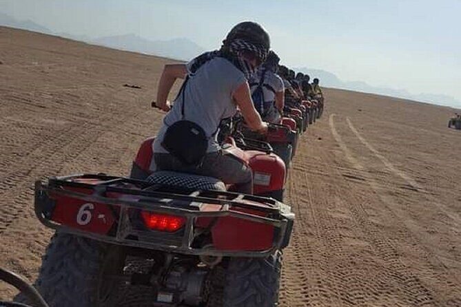 Safari Quad Adventure and Camel Riding in Hurghada - Camel Ride & Bedouin Cultural Insight