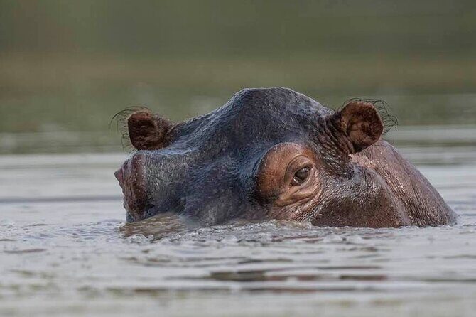 Safari Serengeti And Ngorongoro - Who Is This Tour Best For?  