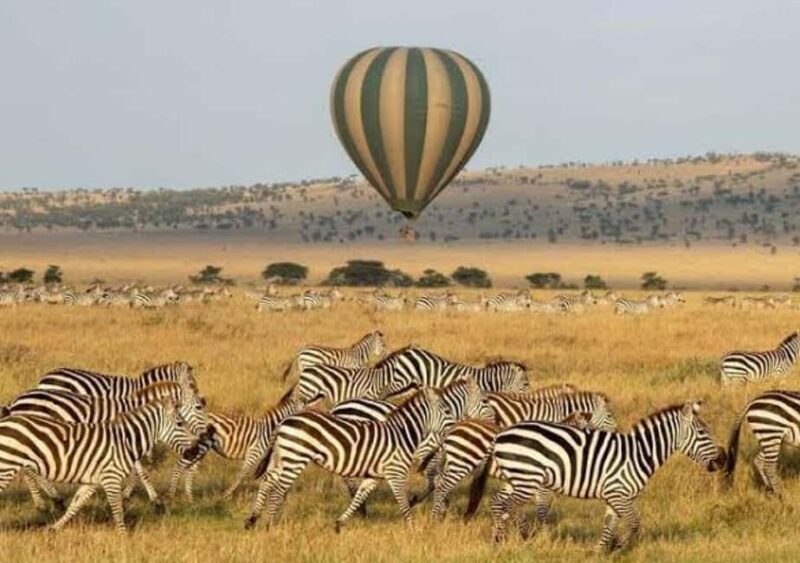 Safari Serenity:Exploring Tarangire National Park in Day - Arriving at Tarangire: First Impressions