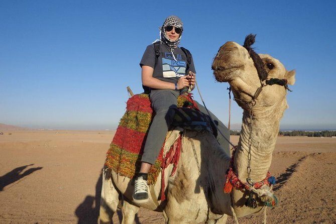 Safari Three Hours by ATV Quad Bike & Camel Ride With Transfer - Hurghada - How the Tour Unfolds: A Step-by-Step Breakdown