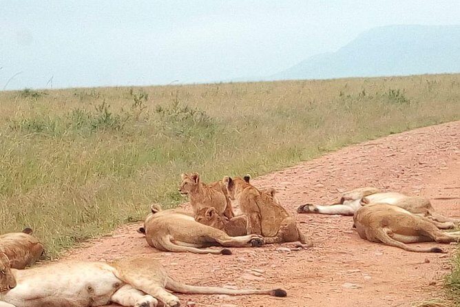Safari Tour; Nairobi National Park - Key Points