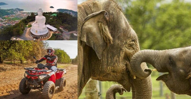 safari-trails-off-road-ventures-with-big-buddha