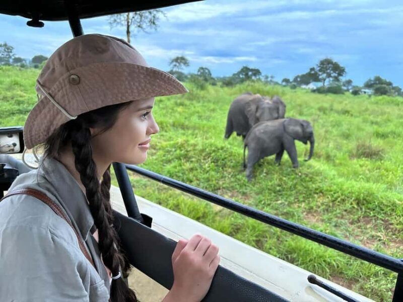 SAFARI WILDLIFE 3 DAYS 2 NIGHT FROM ZANZIBAR TO MIKUMI - Authentic Insights from Travelers