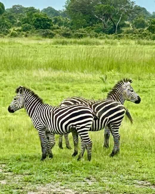 SAFARI WILDLIFE 3 DAYS 2 NIGHT FROM ZANZIBAR TO MIKUMI - FAQs