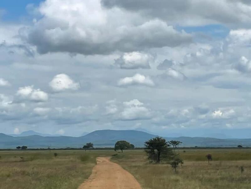 SAFARI WILDLIFE FROM ZANZIBAR TO MIKUMI 3 DAYS AND 2 NIGHTS - Practical Tips and Considerations