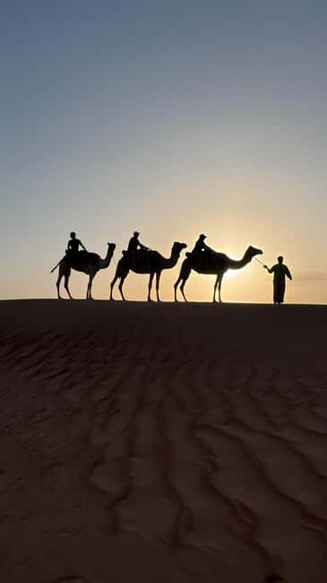 Safari World Zoo and Wahiba Sands with Sunset - An Overview of the Tour Experience