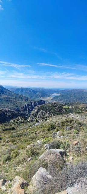 safarilasithi-plateau-mythology-parkolive-oil-tasting