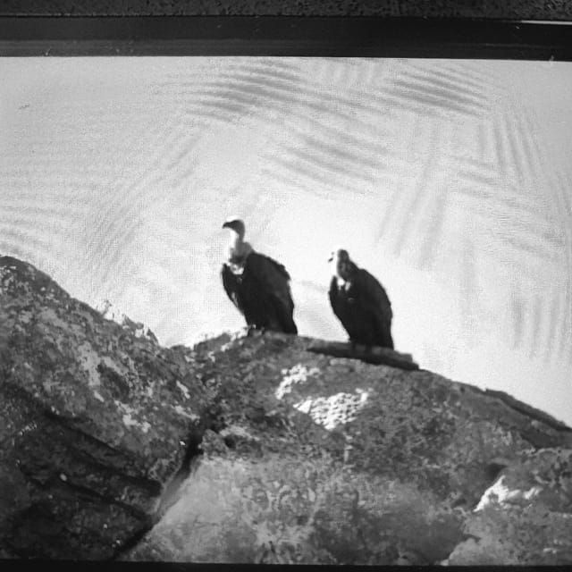 safarilasithi-plateau-mythology-parkolive-oil-tasting