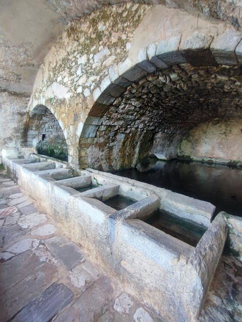 safarilasithi-plateau-mythology-parkolive-oil-tasting