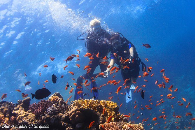Safe Try dive-Personal instructor, 1:1 experience, Top boat - A Closer Look at the Experience