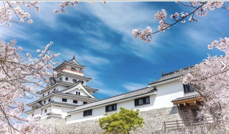 Saga Day Tour from Fukuoka: Karatsu, Arita & Ouo Shrine - FAQs