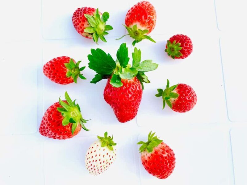 Saga Prefecture Strawberry Picking Experience with Ice Cream - Imari City and Local Delights