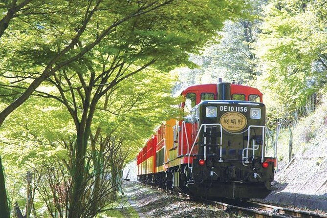 sagano-romantic-train-arashiyama-kiyomizudera-fushimi-inari-taisha-day-tour