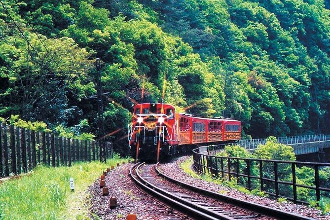 sagano-romantic-train-arashiyama-kiyomizudera-fushimi-inari-taisha-day-tour