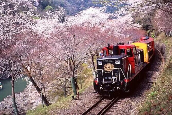 Sagano Romantic Train Ticket - Key Points