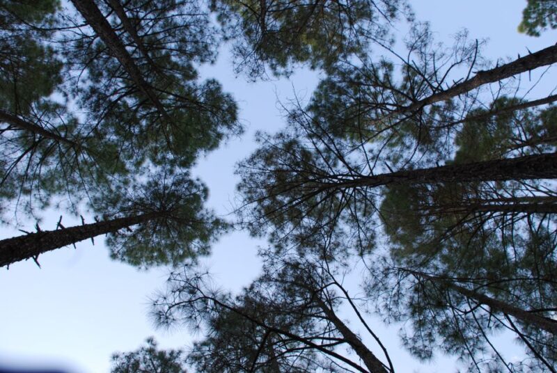 Sagar Gad: Full-Day Hill Fort Trekking from Mumbai - Key Points  