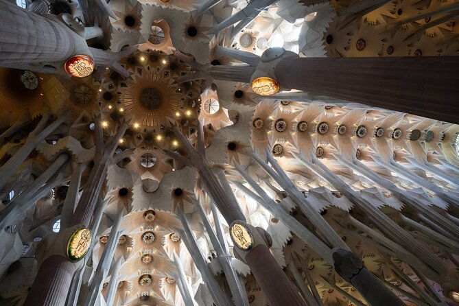 sagrada-familia-and-guell-park-private-tour-with-drink-and-tapa