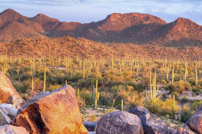 Saguaro National Park East E-Bike Tour - An Honest Look at the Saguaro National Park East E-Bike Tour