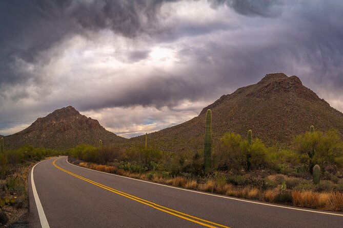 saguaro-national-park-self-guided-driving-audio-tour