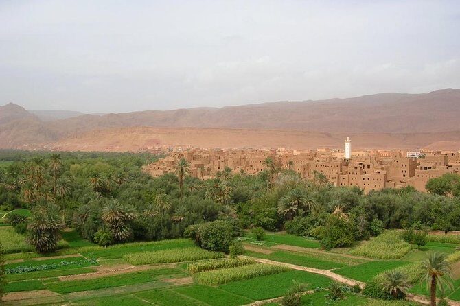 Sahara 3days/2nights mini-circuit - Day Two: Into the Desert