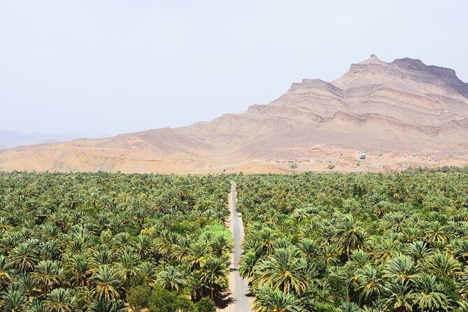 Sahara Adventure in 4 days - What the Reviews Say About the Tour’s Strengths