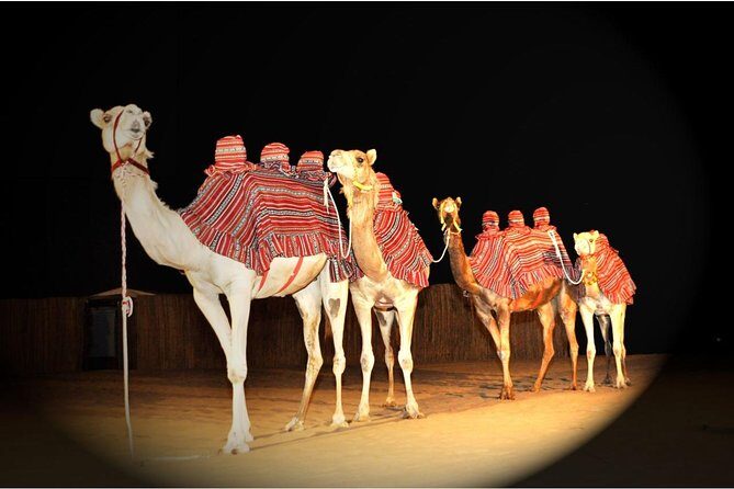 Sahara Arabian Desert Dinner Experience with Transport from Dubai - Authentic Experiences Based on Reviews