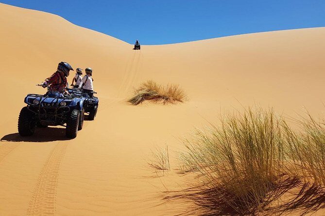 Sahara Camel Trekking - Over night in the Camp - An In-Depth Look at the Sahara Camel Trekking Experience