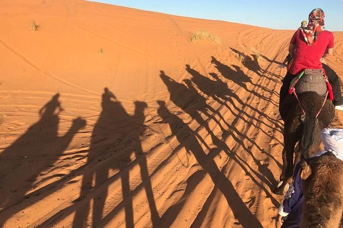 Sahara Desert 3 days trip from Marrakech to Fez - Practical Tips for Travelers