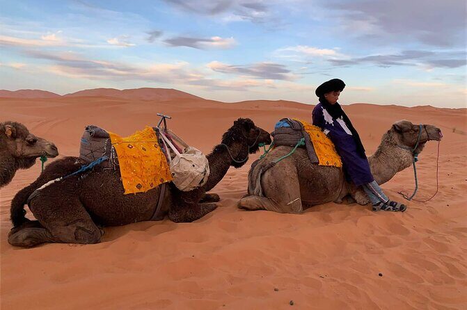 Sahara Desert + Atlas Mountains Tour - 3 Days 2 Nights - Fez to Marrakech - Authentic Experiences and Unique Insights from Reviewers