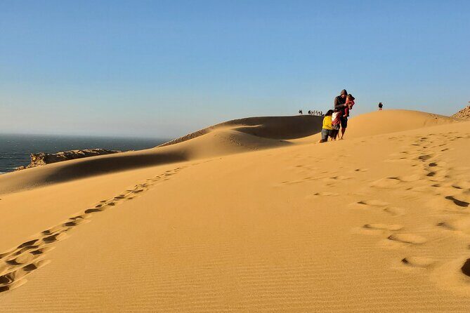 Sahara desert & paradise trip in agadir with lunch and camel ride - Key Points