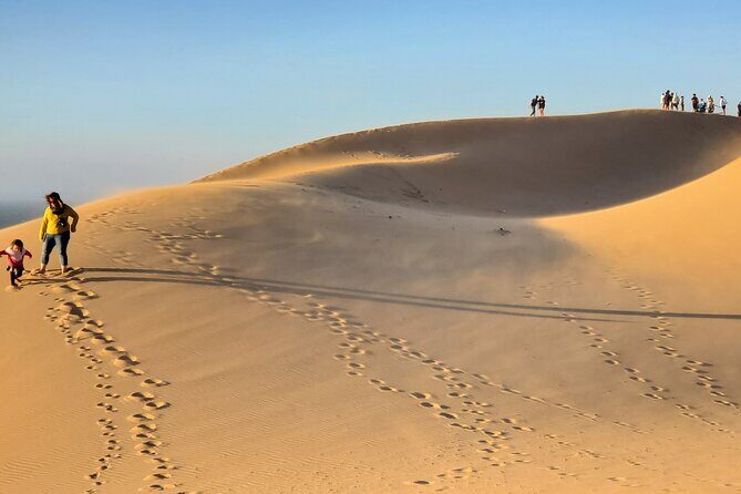 Sahara desert & paradise trip in agadir with lunch and camel ride - Paradise Valley: The Green Oasis