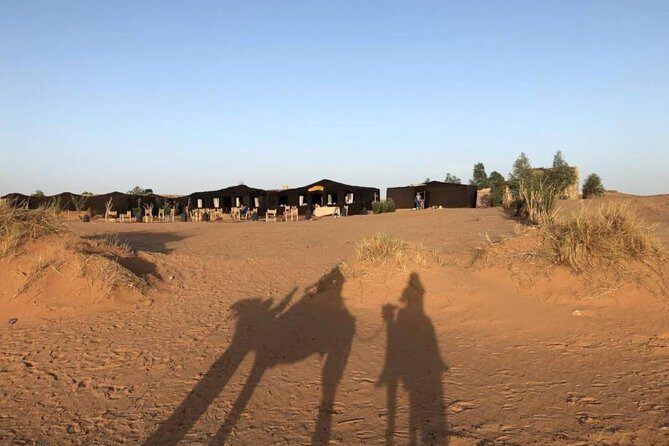 Sahara Desert Trip - 2 night 3 days - Fes to Marrakech OR Marrakech to Fes - Who Is This Tour Best Suited For?