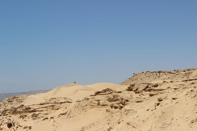Sahara Tour : Half day trip to sahara (sand dunes ) with lunch - An In-Depth Look at the Sahara Tour Experience