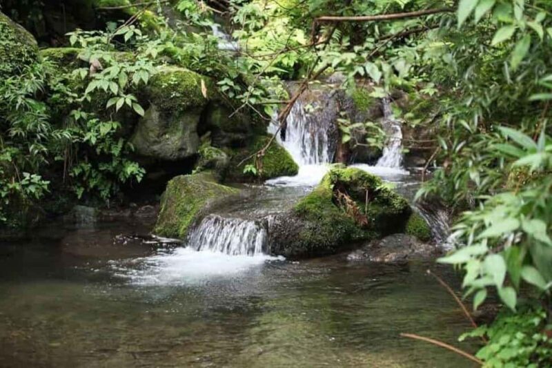 Saharanpur Uncovered: A 2-Day Escape into Culture & Craft - Discovering Saharanpur: What You Can Expect