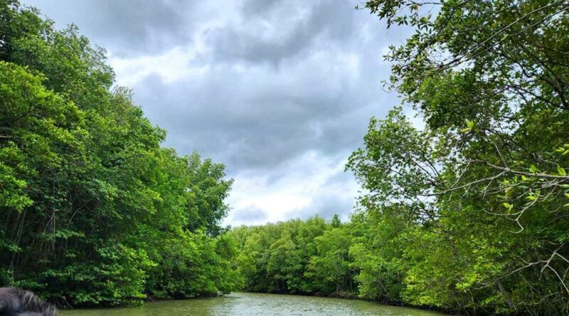 sai-gon-can-gio-monkey-island-1-day-tour