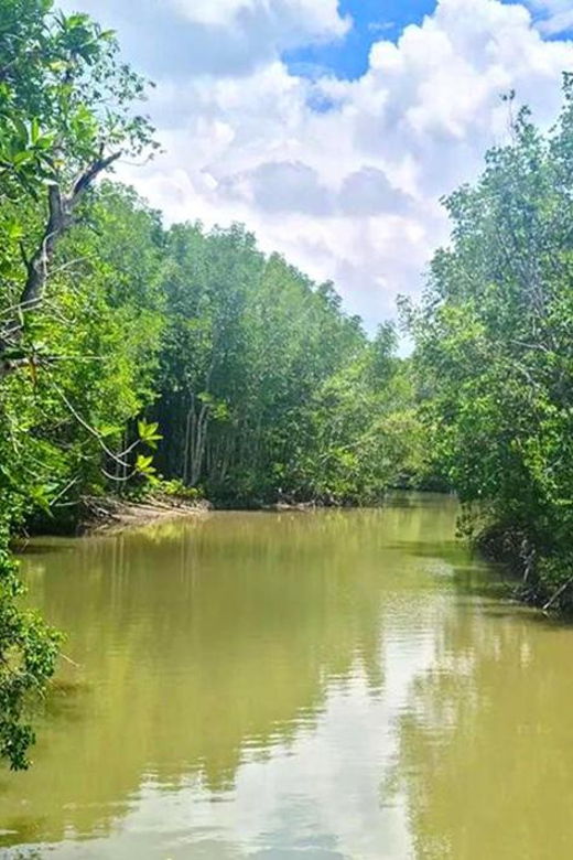 sai-gon-can-gio-monkey-island-1-day-tour