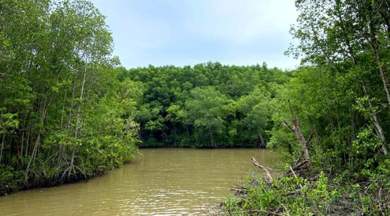 sai-gon-can-gio-monkey-island-1-day-tour