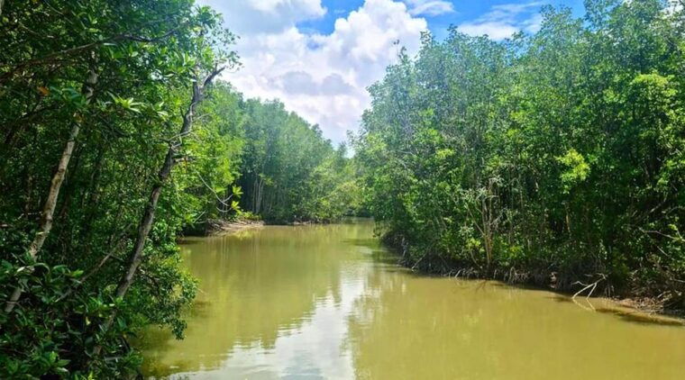 sai-gon-can-gio-monkey-island-1-day-tour