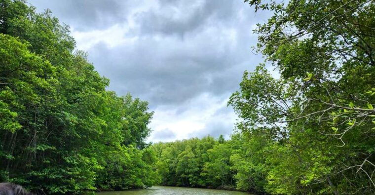 sai-gon-can-gio-monkey-island-1-day-tour