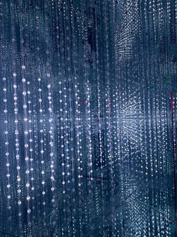 Saigon City Sightseeing: Bitexco, Starry Museum, Water Bus - FAQ