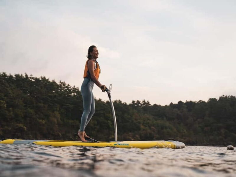 Saiko Lake: Hobie Watersports with Mount Fuji View - An Authentic and Relaxing Lake Experience