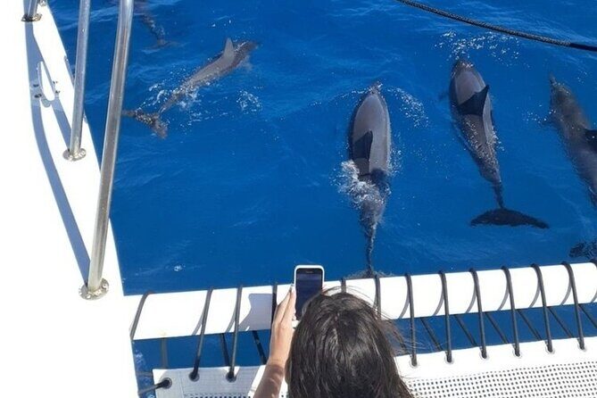 Sail and Turtle Snorkeling Tour in Waikiki - The Sum Up: Who Should Consider This Tour?