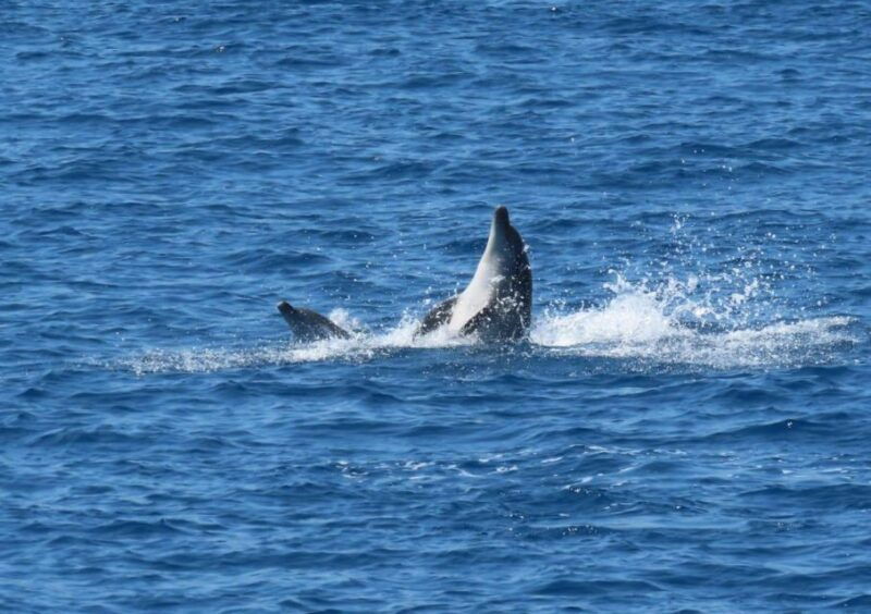 sail-away-in-kos-unveil-3-greek-isles-secrets