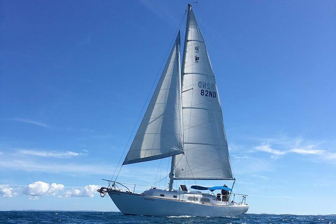 sail-away-private-scenic-excursion-from-san-juan