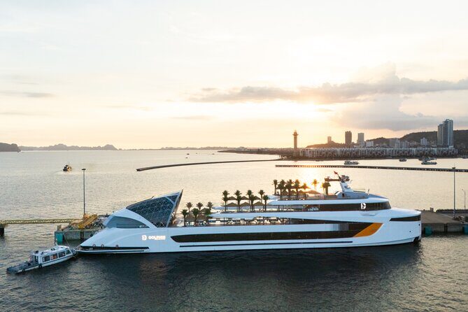 Sail Halong Bay in Luxury Dolphin Day Cruise with Panoramic Views - Introduction: What to Expect from the Dolphin Halong Bay Cruise