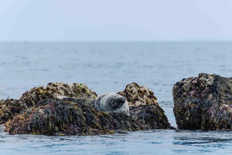 sail-into-the-heart-of-the-bay