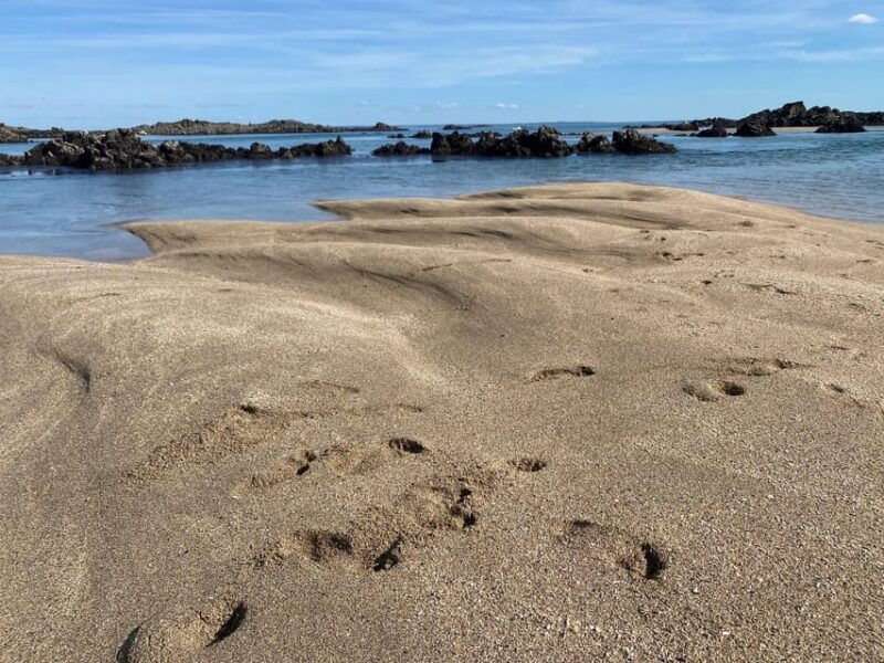 sail-into-the-heart-of-the-bay