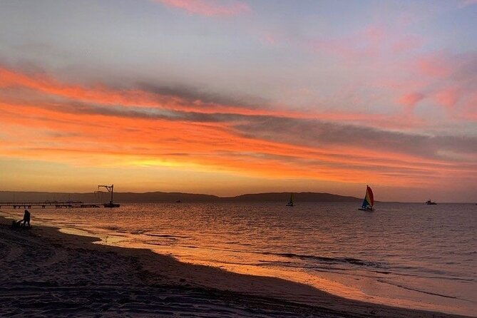 sail-on-a-catamaran-and-discover-paracas-bay