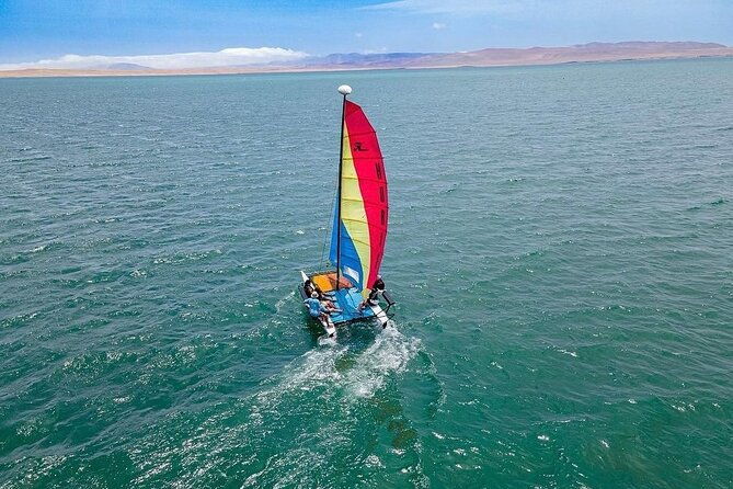 sail-on-a-catamaran-and-discover-paracas-bay